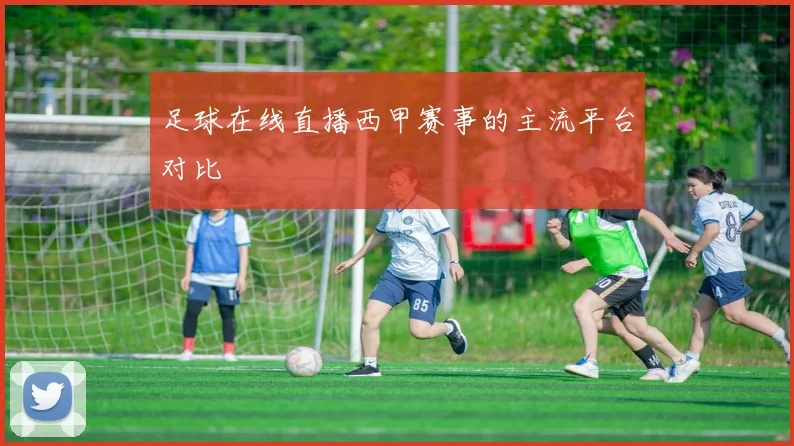 足球在线直播西甲赛事的主流平台对比